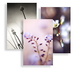 Natural Delight, Business Cards