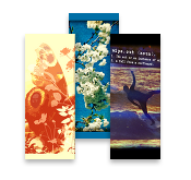 S0ulsurfing MiniCards