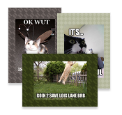 ICHC Postcards