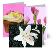 Andrew Holmes Greeting Cards