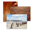 Paul Cooklin Photography Postcards