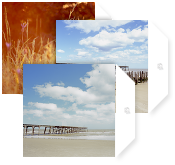 Paul Cooklin Photography NoteCards