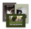 ICHC Postcards