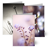 Natural Delight, Greeting Cards
