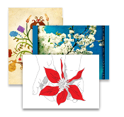 Flower Postcards