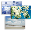 Wellbeing Business Cards