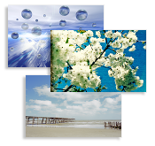 Wellbeing Business Cards