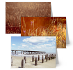 Paul Cooklin Photography Greeting...