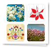 Flower Stickers