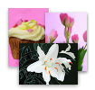 Andrew Holmes Postcards