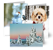 JPG Photo Contest Holiday Cards