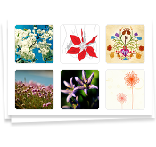 Flower Stickers