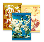 S0ulsurfing Postcards