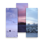 Winter Skies