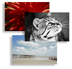 Paul Cooklin Photography Business...