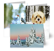 JPG Photo Contest Holiday Cards