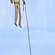 Kite