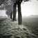 frost