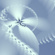 Flower 4