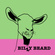 Billy Beard