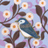wistful nuthatch