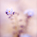 forgetmenot