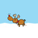 Reindeer