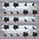 crow pattern pink