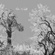 4corner trees grey