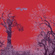 4corner trees red