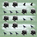 crow pattern green