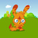 Katsuma 