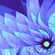 Flower 7001