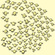 Crowd Of Corn