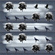 crow pattern black