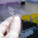 DNA Solution