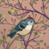 grumpy kinglet