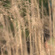 _MG_3730.jpg
