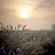 winter frost