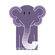 animal elephant