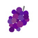 Grape