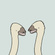 Ostriches