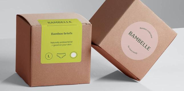 2 cardboard boxes with a green rectangle label and a pink round label for a lingerie brand