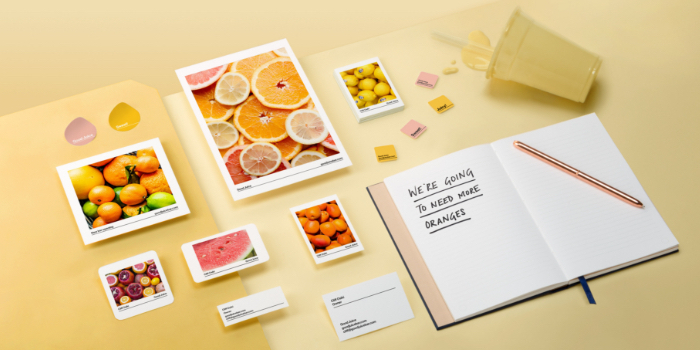 marketing materials on yellow background