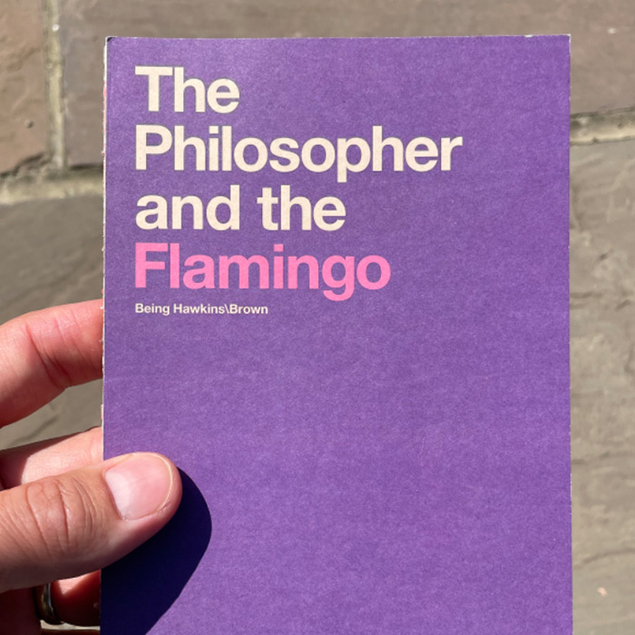 'The Philosopher and the Flamingo' - a Hawkins\Brown handbook