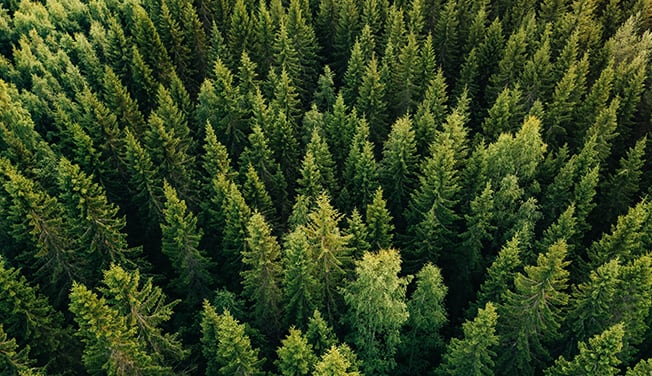 Choose from a range of FSC® certified products