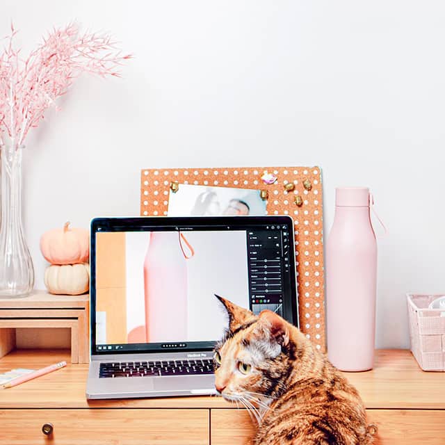 Katze, Schreibtisch und offener Laptop mit einem Bild einer rosa Flasche. Auf dem Schreibtisch stehen eine Wasserflasche und diverse Deko-Objekte.