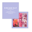 Dream Day preview