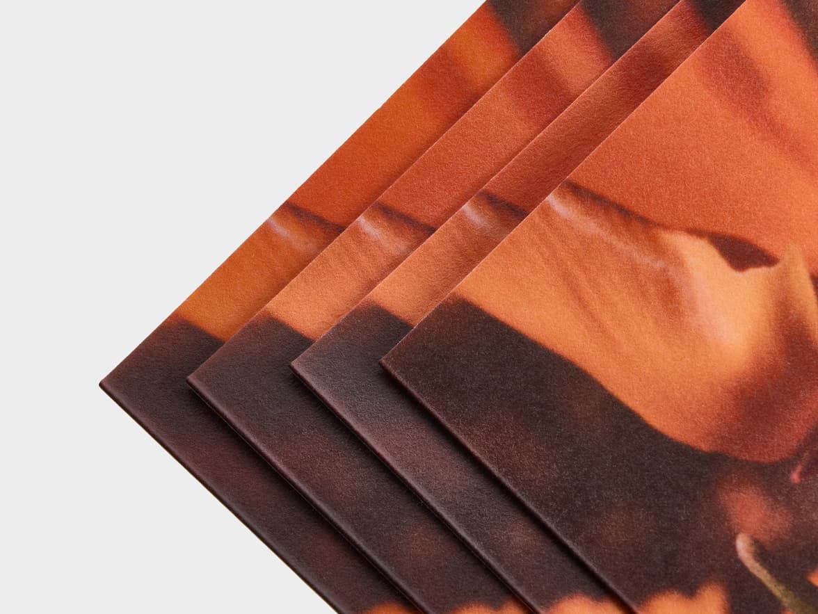 Bi-Fold Eco Brochure shot close up.