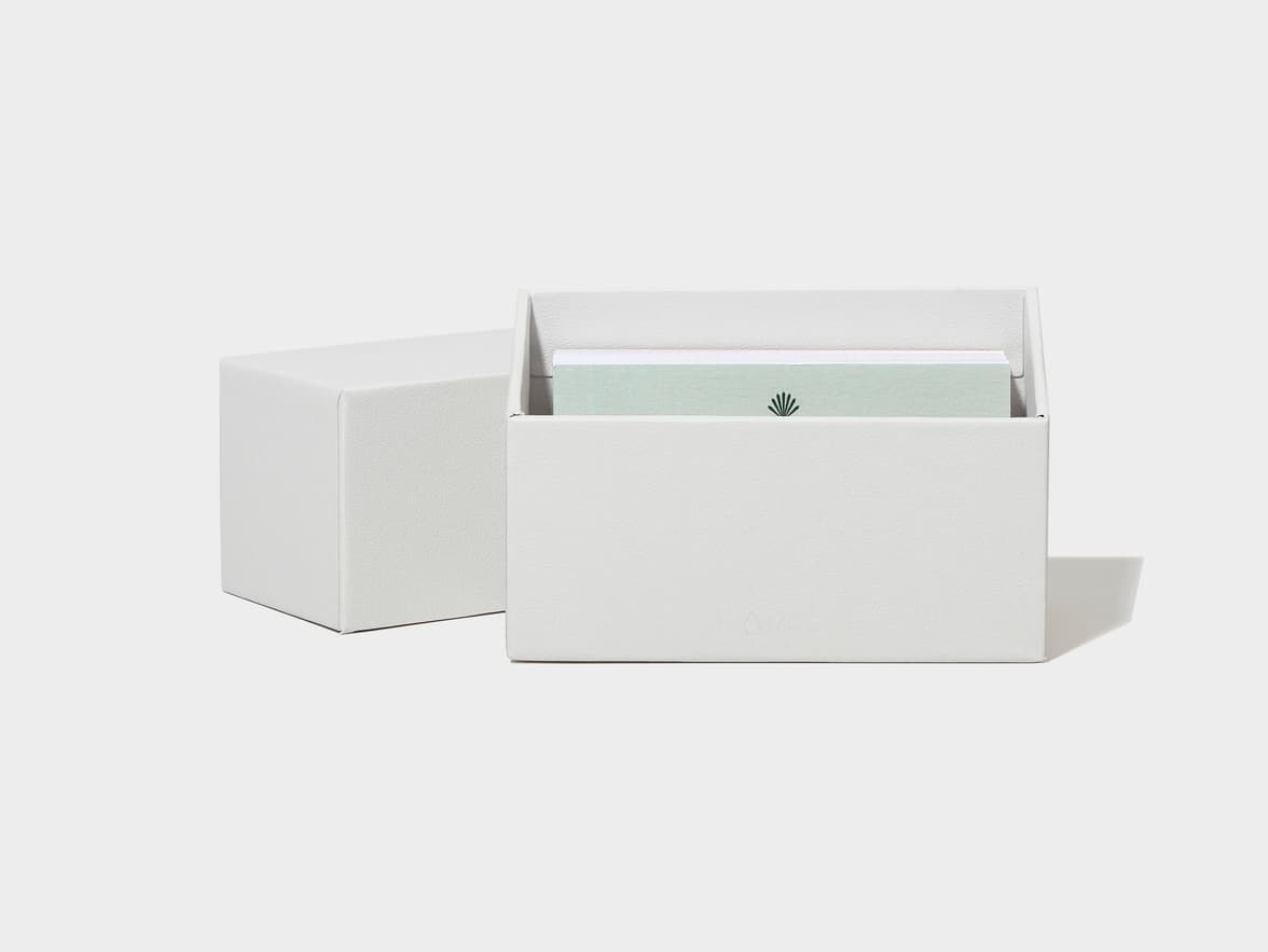 Two white textured boxes, one open and holding light green cards with a fan-like logo, and the open box branded with 'MICA'.